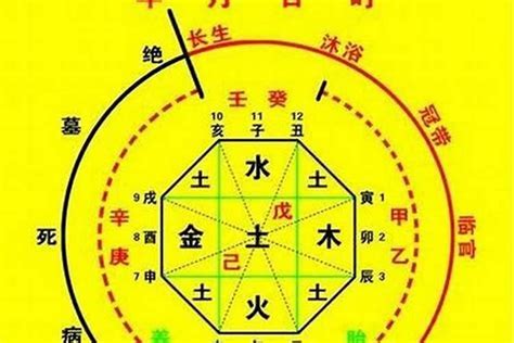 八字喜火|八字火命与喜火之别：五行喜火形象解析